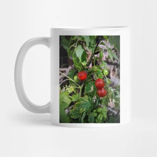 Tomatoes Mug